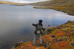 Trout fishing