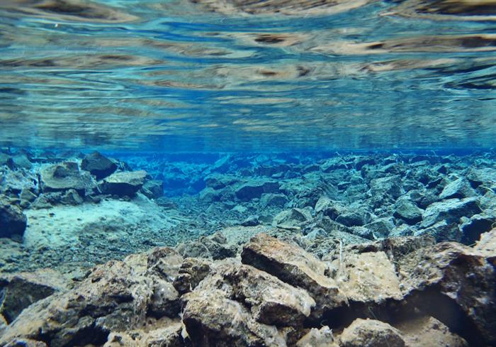 Underwater in Silfra