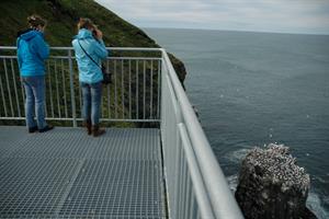 Bird watching at Skoruvíkurbjarg bird cliffs
