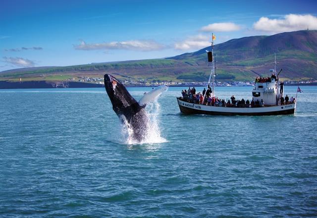 Small Icelandic Towns: Husavik