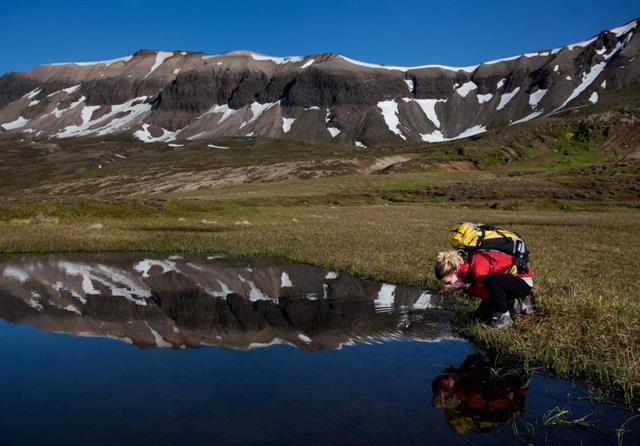 Borgarfjörður eystri