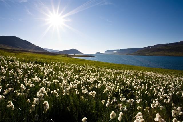 The Westfjords