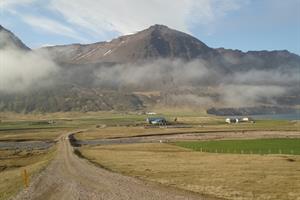 Njarðvík