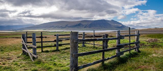 WestIceland_fence_ozzo.jpg