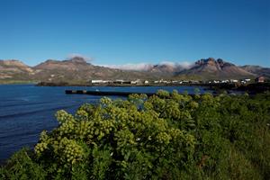 Borgarfjörður eystri