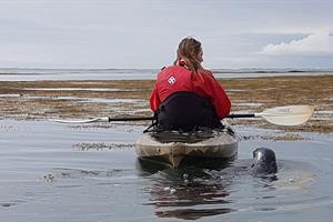Sea kayaking tour from Stokkseyri