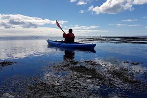 Enjoy paddling on a sit-on-top kayak by the shore