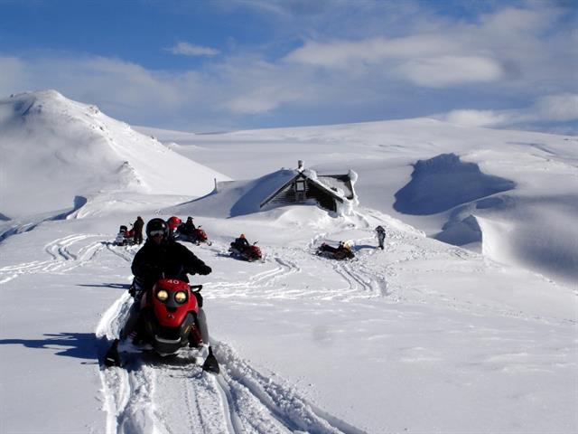 Join a snowmobile tour