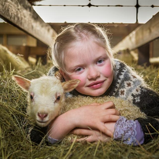 Farm Visit and Hug a Lamb tours.jpg