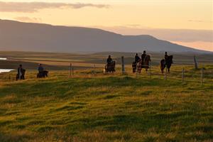 Horse riding tours are available at Stóra-Ásgeirsá