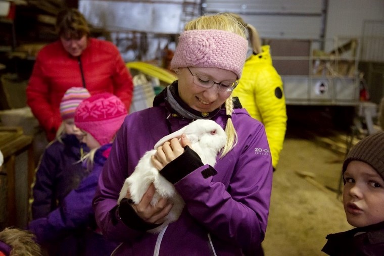 Farm visit with a treat.jpg