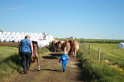 Farm Holiday Tours