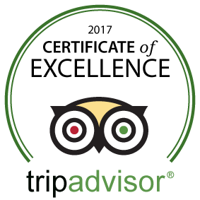 trip advisor