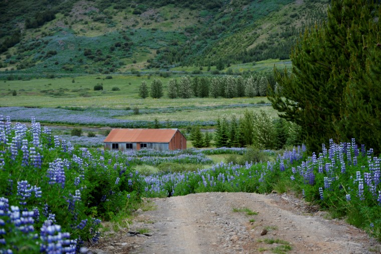 Gravel road in Iceland