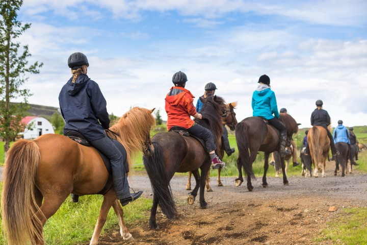 Horse riding in Iceland