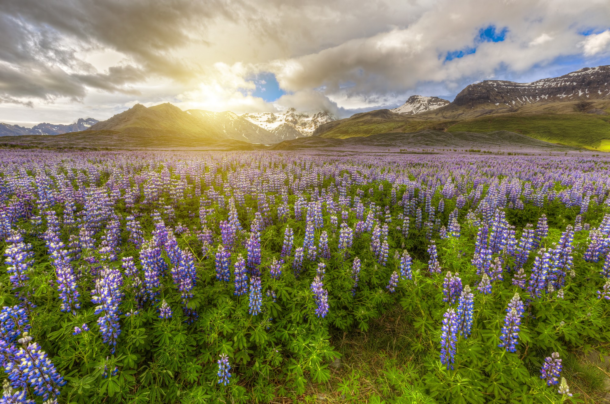 Icelandic countryside in the summer
