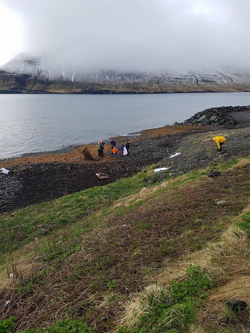 Plogging in Iceland