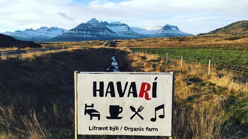 Havarí Organic Farm in Berufjörður