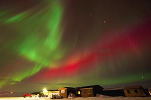 Northern lights dancing on the winter sky