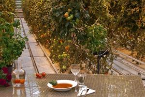 Tomato Soup at Fridheimar Greenhouse