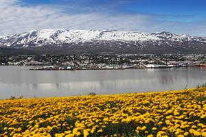 Akureyri Charming Town