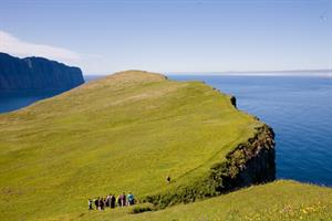 Hornbjarg Cliff Westfjords Iceland
