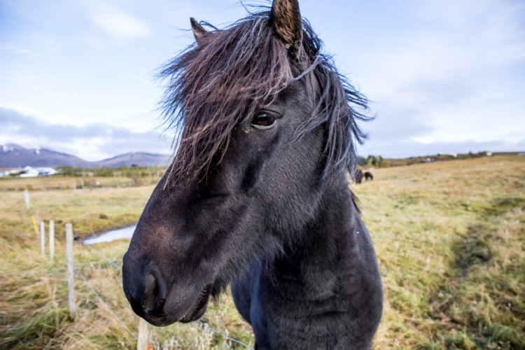 Do's and Don'ts of Iceland