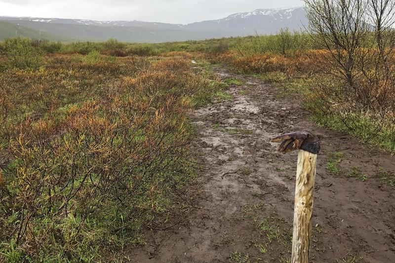 Don't be a bad tourist in Iceland - Don’t go onto private property Don't be a bad tourist in Iceland - Don’t go onto private property