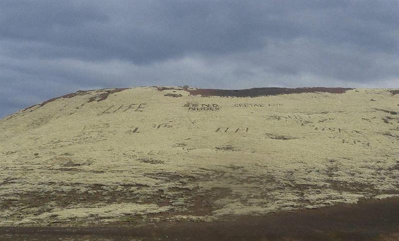 Don’t damage the Icelandic moss Don’t damage the Icelandic moss