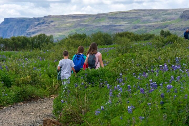 How to be a responsible tourist in Iceland