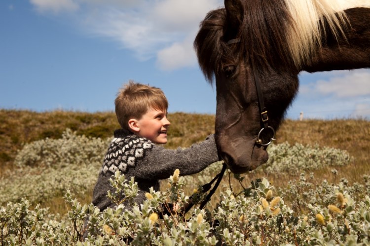 Best activities for families in Iceland