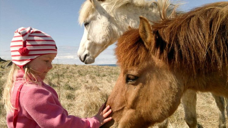Why Iceland is the perfect family destination Why Iceland is the perfect family destination