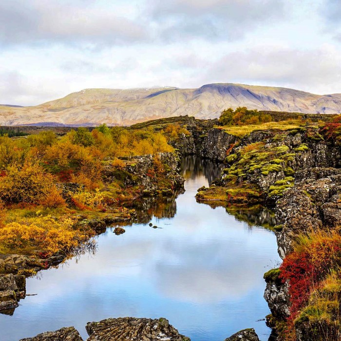 A river flowing slowly in the autumn