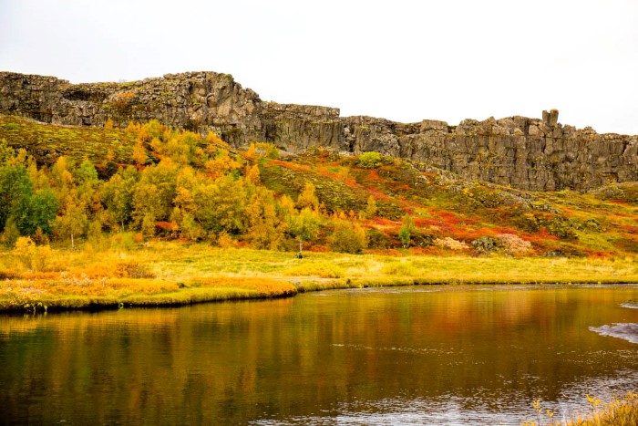 Trees in autumn colours 