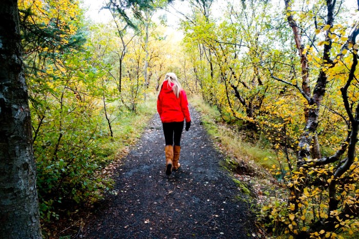 Walking in an Icelandic forest