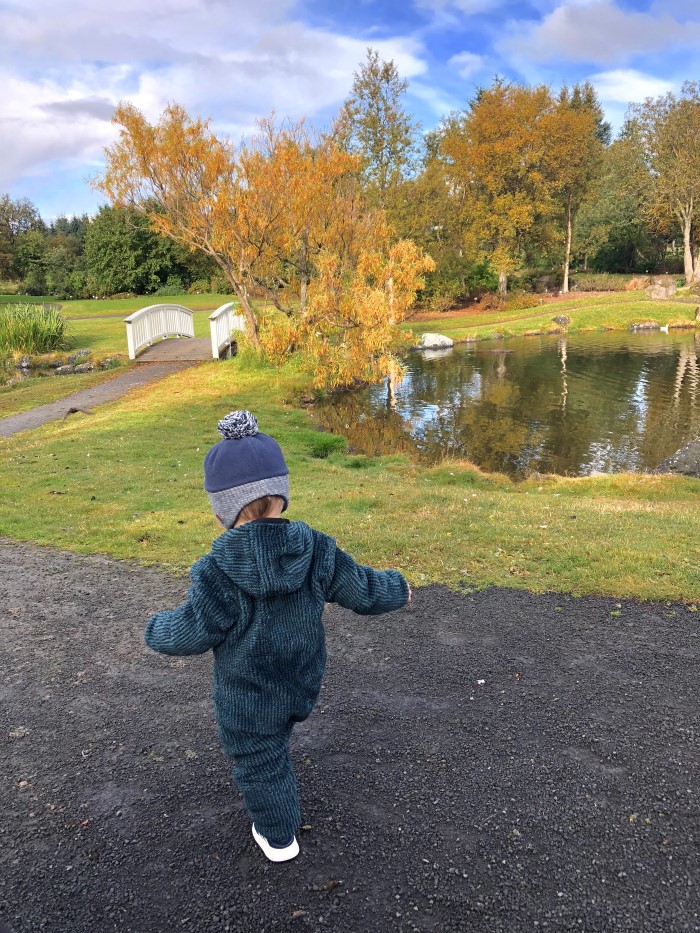 Reykjavík botanical Garden