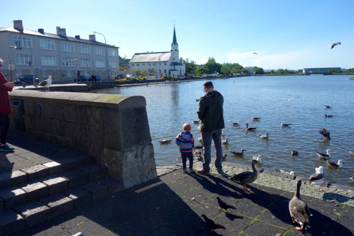 Feeding the ducks