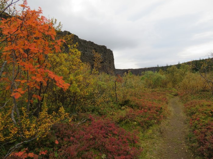 Ásbyrgi Canyon Ásbyrgi Canyon