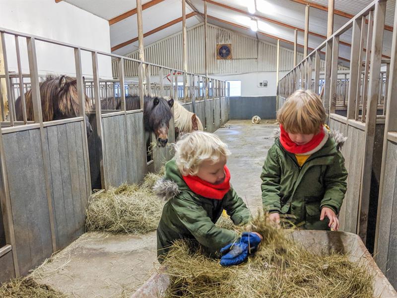 feeding-horses-farmstay_travelynnfamily.jpg