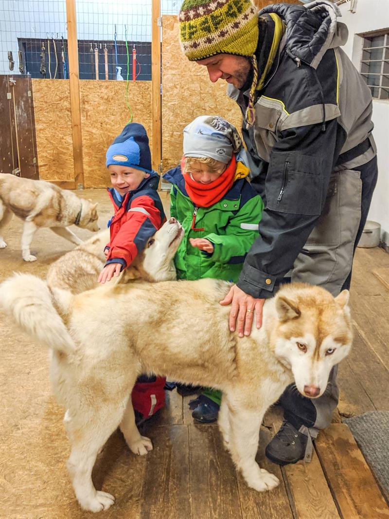 meeting-huskies-NIceland_travelynnfamily.jpg