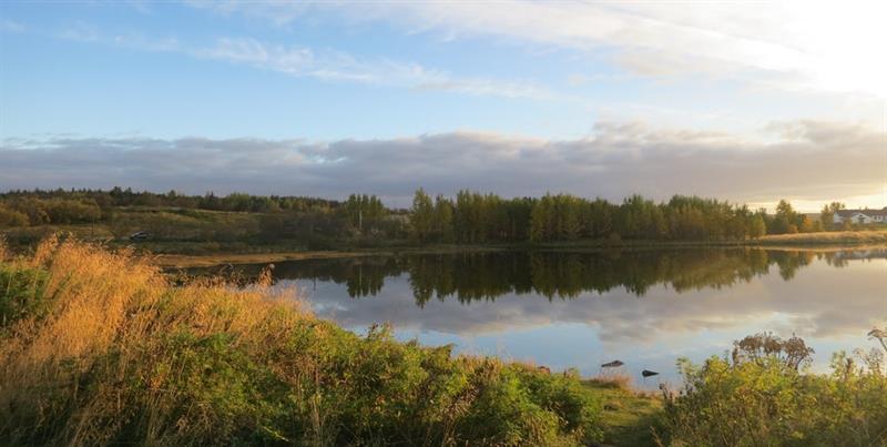 2. Heiðmörk Nature Reserve.jpeg Heiðmörk Nature Reserve