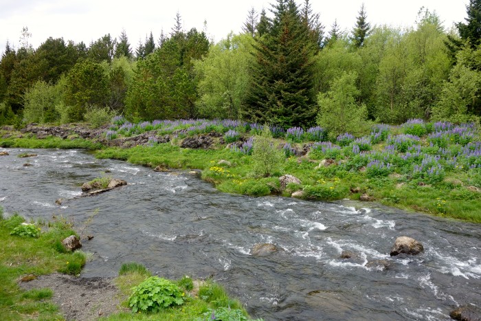 Elliðaá River