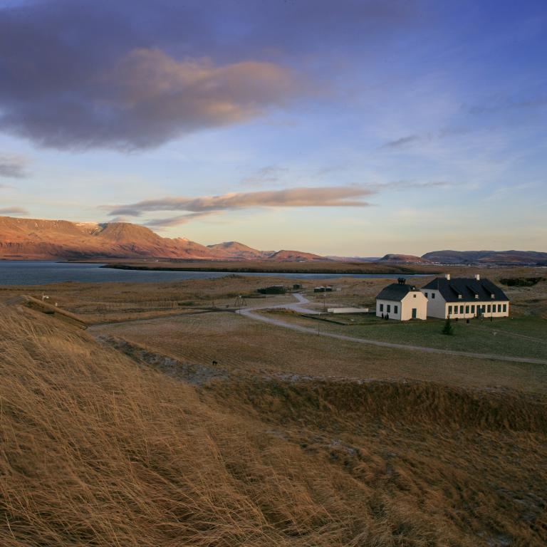 6. Viðey Island.jpg Viðey Island