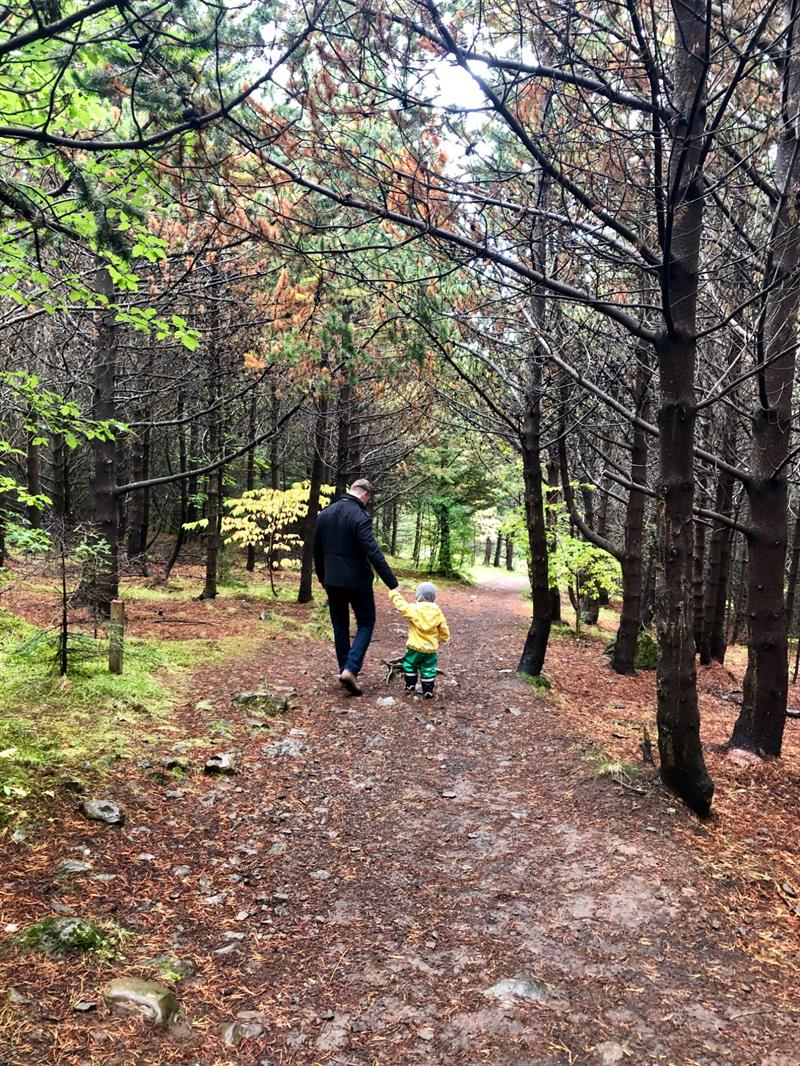 Úlfarsfell Wooded Area