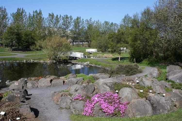 13. Reykjavík Botanical Gardens.jpg Reykjavík Botanical Gardens