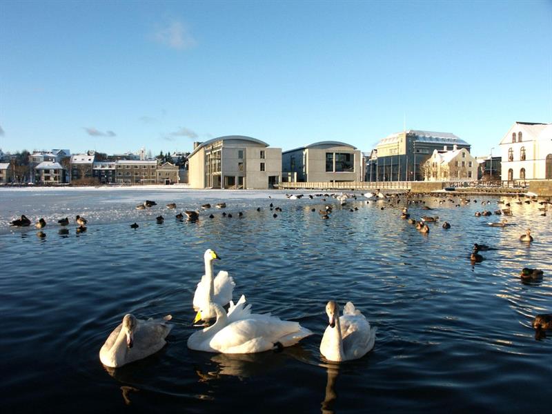 Tjörnin Pond in Reykjavík