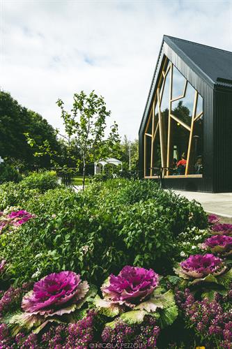 Akureyri Botanical Garden - © Nicola Pezzoli on Flickr Akureyri Botanical Garden - © Nicola Pezzoli on Flickr