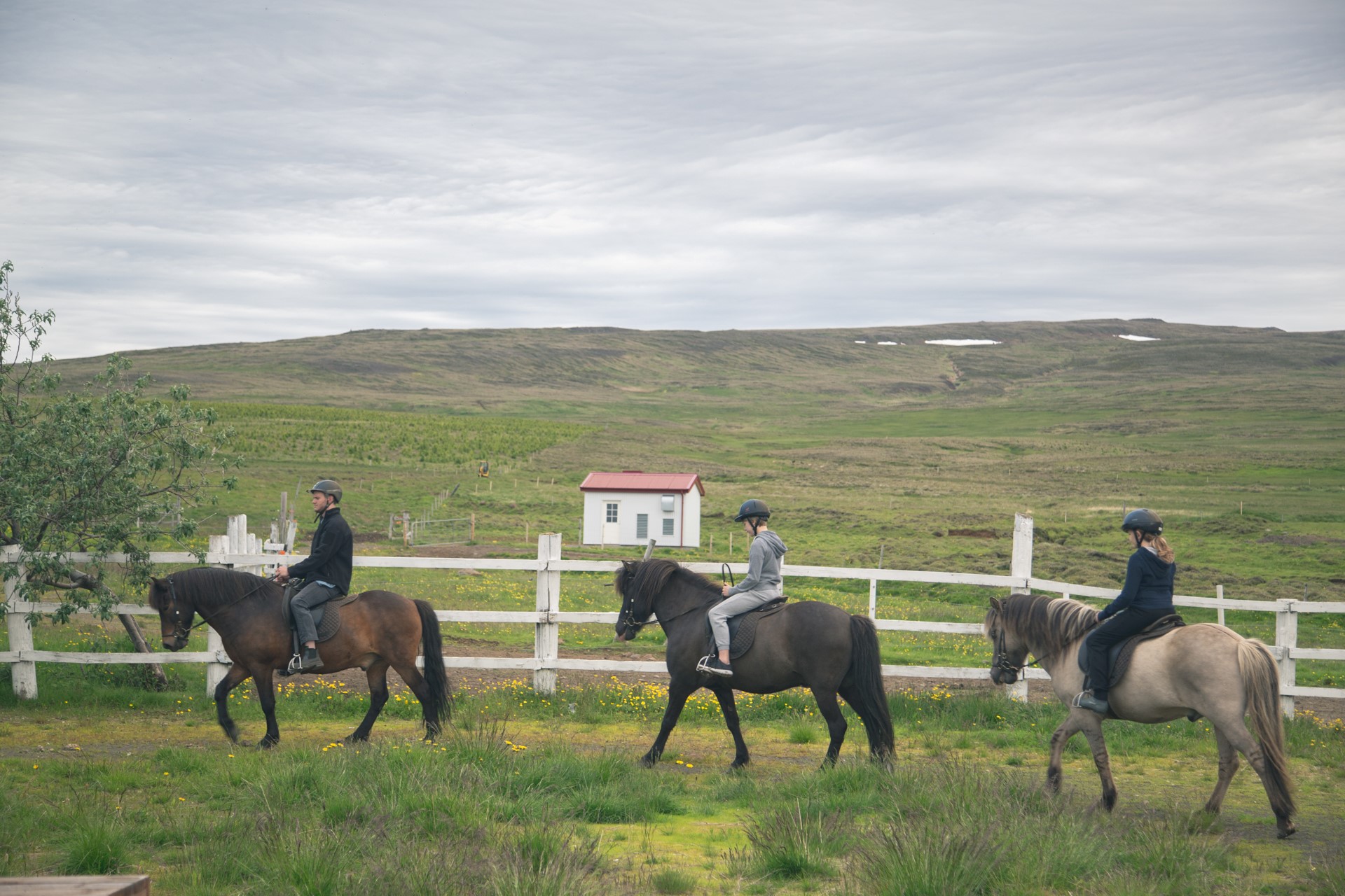 Reiðtúr í sveitinni