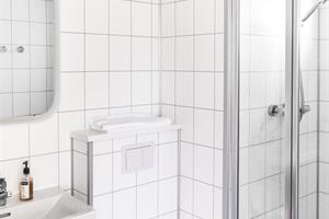 Superior Cottage: Bathroom in a 2-4 pers. cottage (37m2) with 1 bedroom and sofa bed in the living room.