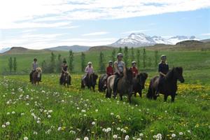 Horse riding tour in North Iceland